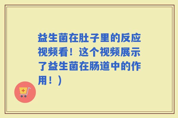 益生菌在肚子里的反应视频看！这个视频展示了益生菌在肠道中的作用！)