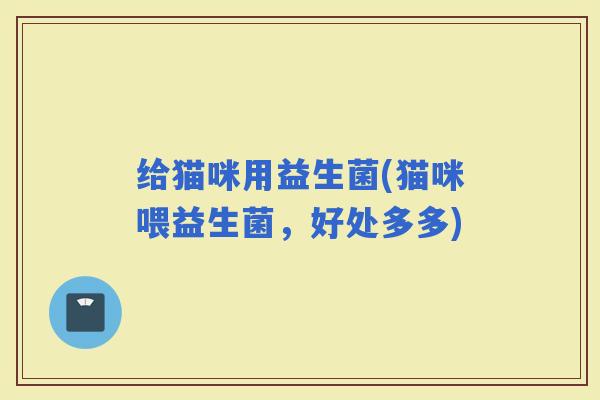 给猫咪用益生菌(猫咪喂益生菌，好处多多)