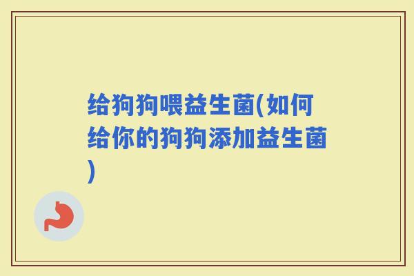 给狗狗喂益生菌(如何给你的狗狗添加益生菌)