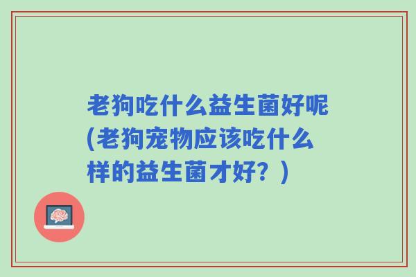 老狗吃什么益生菌好呢(老狗宠物应该吃什么样的益生菌才好？)