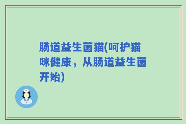 肠道益生菌猫(呵护猫咪健康，从肠道益生菌开始)