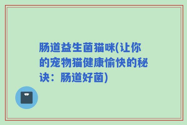 肠道益生菌猫咪(让你的宠物猫健康愉快的秘诀：肠道好菌)