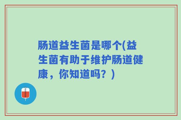 肠道益生菌是哪个(益生菌有助于维护肠道健康，你知道吗？)
