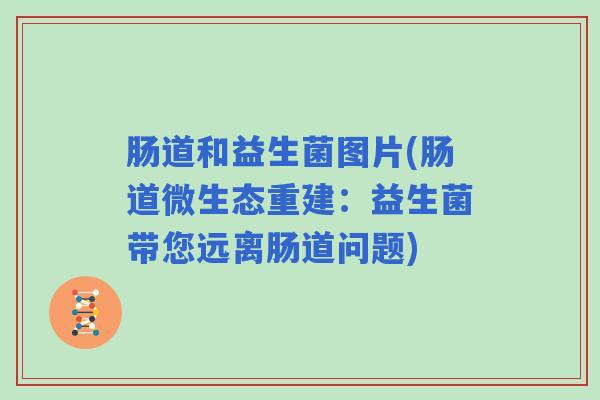肠道和益生菌图片(肠道微生态重建：益生菌带您远离肠道问题)