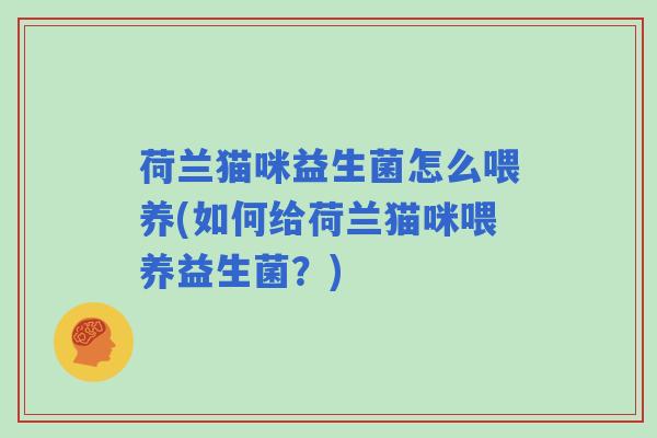 荷兰猫咪益生菌怎么喂养(如何给荷兰猫咪喂养益生菌？)