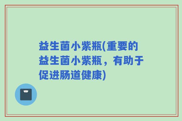 益生菌小紫瓶(重要的益生菌小紫瓶，有助于促进肠道健康)