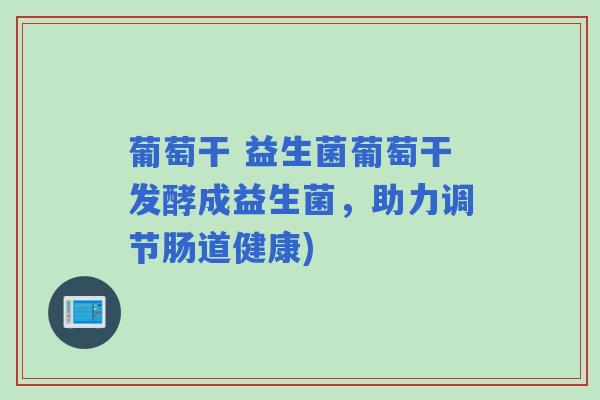 葡萄干 益生菌葡萄干发酵成益生菌，助力调节肠道健康)
