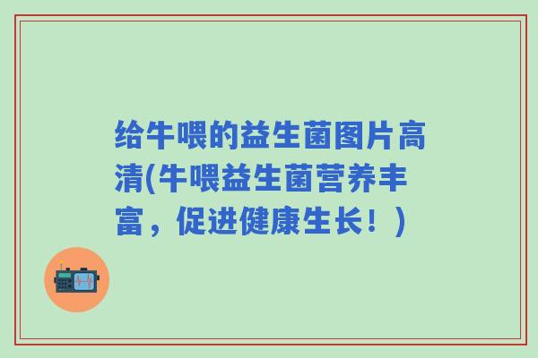 给牛喂的益生菌图片高清(牛喂益生菌营养丰富，促进健康生长！)