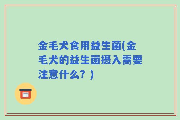 金毛犬食用益生菌(金毛犬的益生菌摄入需要注意什么?) 金毛犬食用益生菌(金毛犬的益生菌摄入需要注意什么?)
