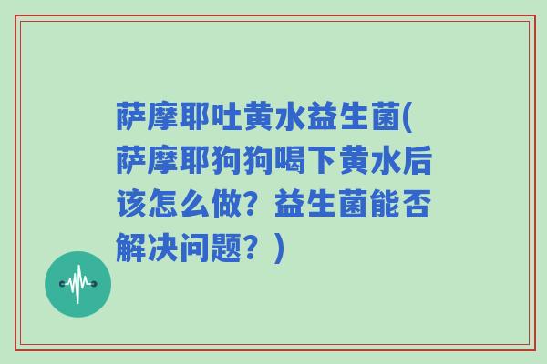 萨摩耶吐黄水益生菌(萨摩耶狗狗喝下黄水后该怎么做?益生菌能否解决问题?) 萨摩耶吐黄水益生菌(萨摩耶狗狗喝下黄水后该怎么做?益生菌能否解决问题?)