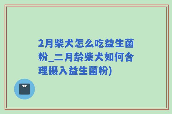 2月柴犬怎么吃益生菌粉_二月龄柴犬如何合理摄入益生菌粉)