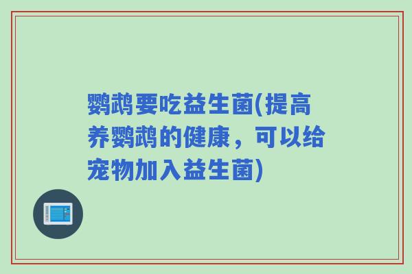 鹦鹉要吃益生菌(提高养鹦鹉的健康，可以给宠物加入益生菌)