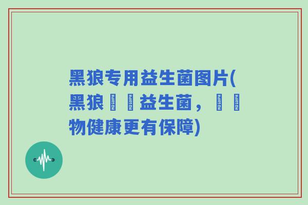 黑狼专用益生菌图片(黑狼專屬益生菌，讓寵物健康更有保障)