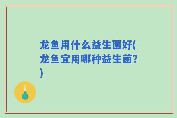 龙鱼用什么益生菌好(龙鱼宜用哪种益生菌？)