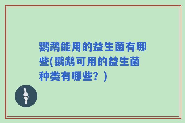 鹦鹉能用的益生菌有哪些(鹦鹉可用的益生菌种类有哪些？)