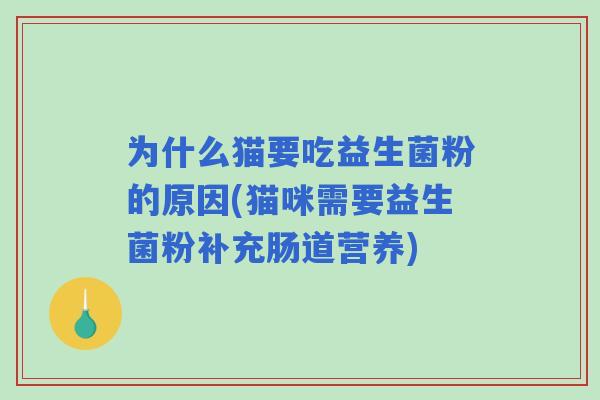为什么猫要吃益生菌粉的原因(猫咪需要益生菌粉补充肠道营养)