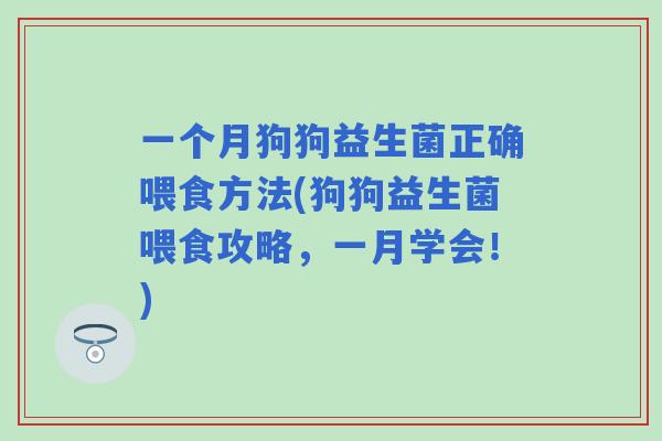 一个月狗狗益生菌正确喂食方法(狗狗益生菌喂食攻略，一月学会！)