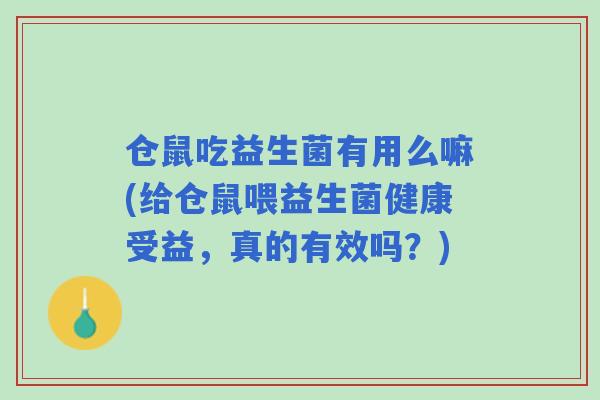 仓鼠吃益生菌有用么嘛(给仓鼠喂益生菌健康受益,真的有效吗?) 仓鼠吃益生菌有用么嘛(给仓鼠喂益生菌健康受益,真的有效吗?)