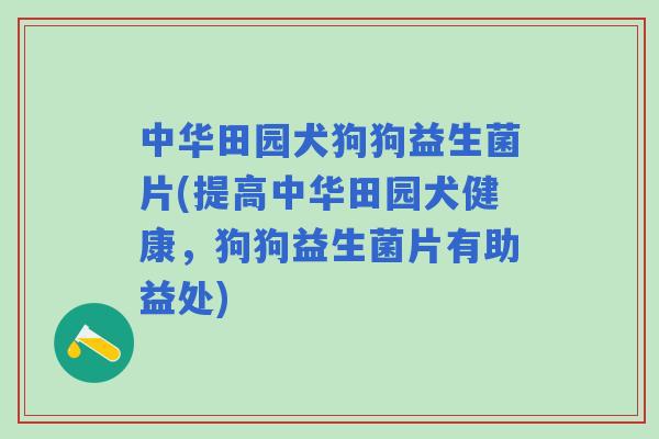 中华田园犬狗狗益生菌片(提高中华田园犬健康,狗狗益生菌片有助益处) 中华田园犬狗狗益生菌片(提高中华田园犬健康,狗狗益生菌片有助益处)