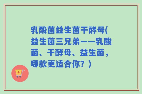 乳酸菌益生菌干酵母(益生菌三兄弟——乳酸菌、干酵母、益生菌，哪款更适合你？)