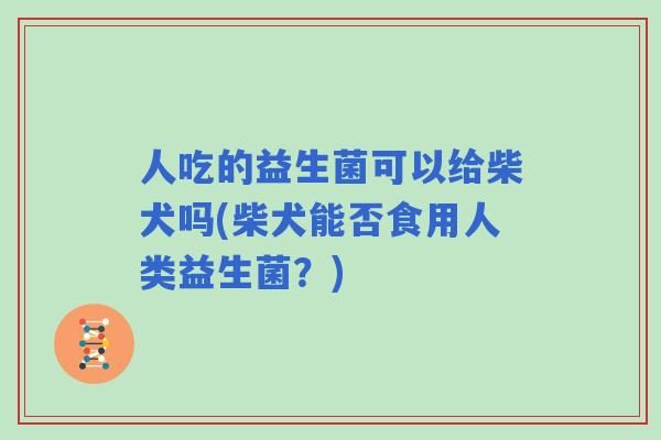 人吃的益生菌可以给柴犬吗(柴犬能否食用人类益生菌?) 人吃的益生菌可以给柴犬吗(柴犬能否食用人类益生菌?)