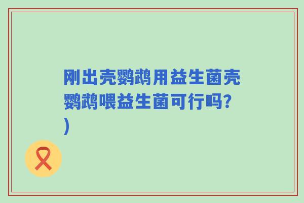 刚出壳鹦鹉用益生菌壳鹦鹉喂益生菌可行吗？)