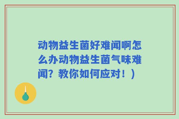 动物益生菌好难闻啊怎么办动物益生菌气味难闻？教你如何应对！)