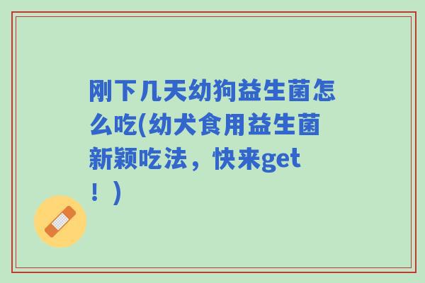 刚下几天幼狗益生菌怎么吃(幼犬食用益生菌新颖吃法,快来get!) 刚下几天幼狗益生菌怎么吃(幼犬食用益生菌新颖吃法,快来get!)