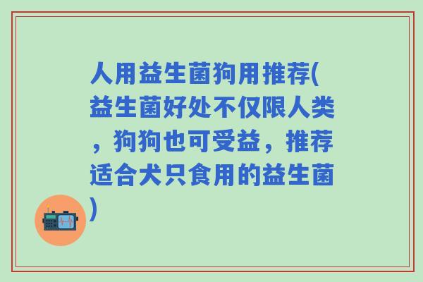 人用益生菌狗用推荐(益生菌好处不仅限人类，狗狗也可受益，推荐适合犬只食用的益生菌)
