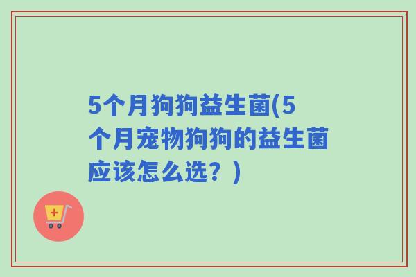5个月狗狗益生菌(5个月宠物狗狗的益生菌应该怎么选?) 5个月狗狗益生菌(5个月宠物狗狗的益生菌应该怎么选?)