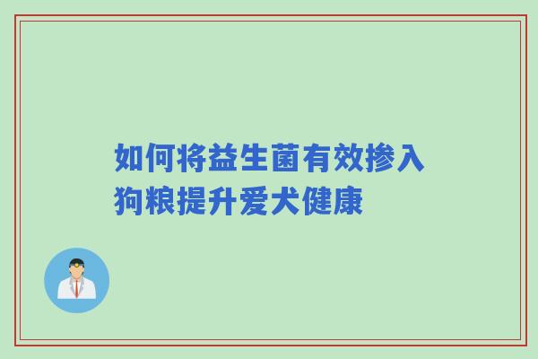如何将益生菌有效掺入狗粮提升爱犬健康