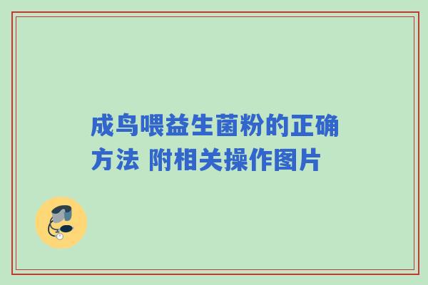 成鸟喂益生菌粉的正确方法 附相关操作图片 成鸟喂益生菌粉的正确方法 附相关操作图片