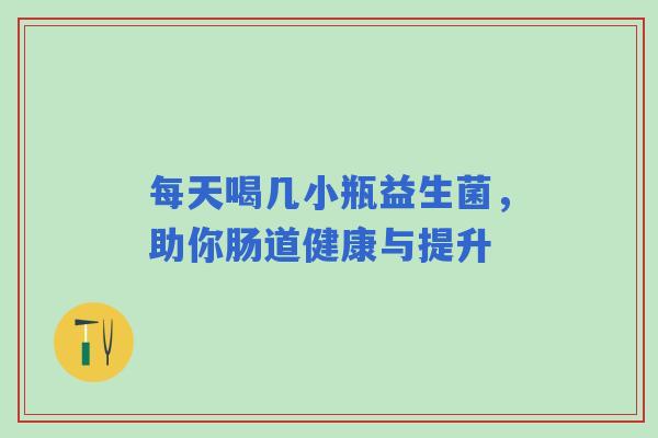 每天喝几小瓶益生菌，助你肠道健康与提升