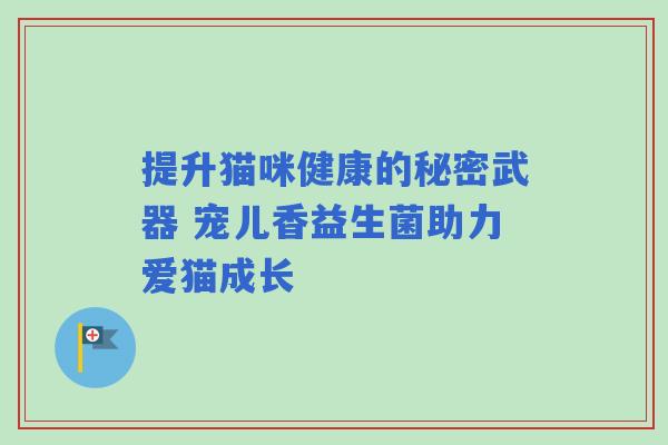 提升猫咪健康的秘密武器 宠儿香益生菌助力爱猫成长 提升猫咪健康的秘密武器 宠儿香益生菌助力爱猫成长