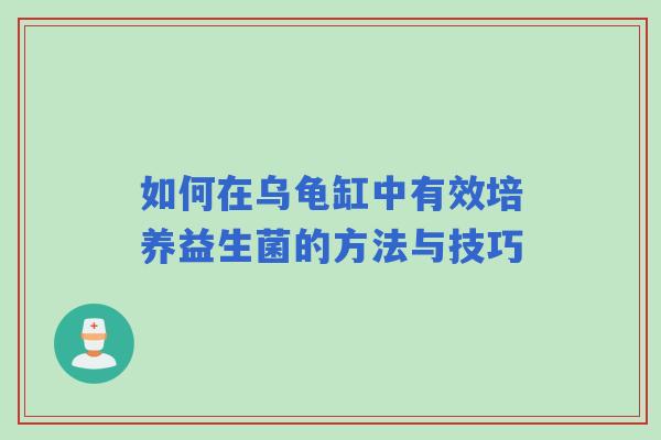 如何在乌龟缸中有效培养益生菌的方法与技巧
