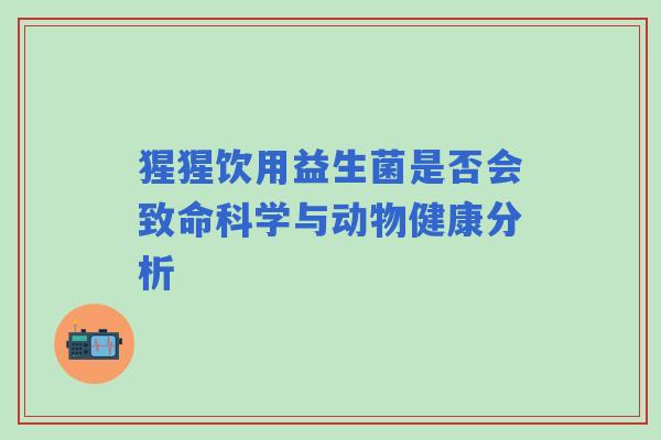 猩猩饮用益生菌是否会致命科学与动物健康分析