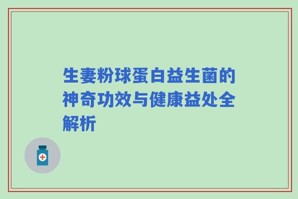 生妻粉球蛋白益生菌的神奇功效与健康益处全解析