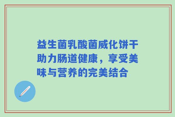 益生菌乳酸菌威化饼干助力肠道健康，享受美味与营养的完美结合
