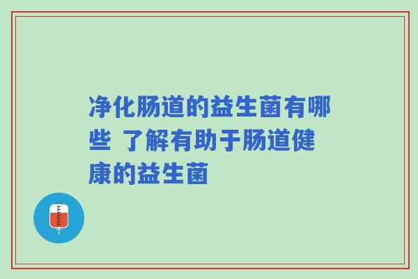 净化肠道的益生菌有哪些 了解有助于肠道健康的益生菌