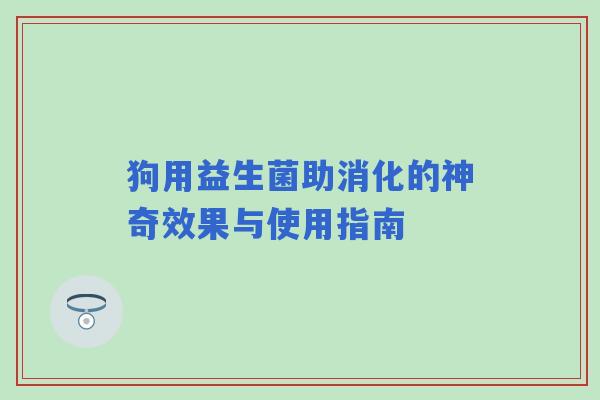 狗用益生菌助消化的神奇效果与使用指南