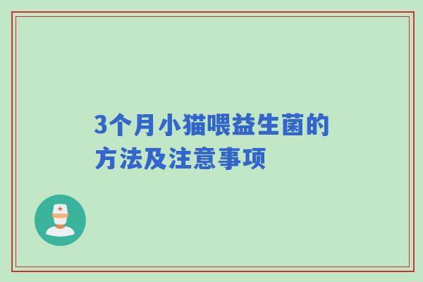 3个月小猫喂益生菌的方法及注意事项