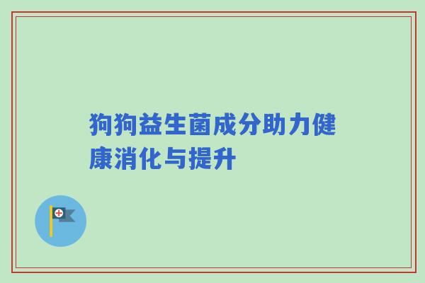 狗狗益生菌成分助力健康消化与提升