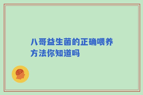 八哥益生菌的正确喂养方法你知道吗
