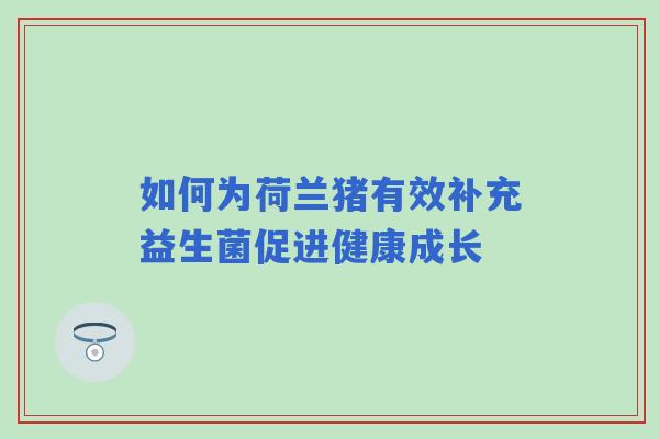 如何为荷兰猪有效补充益生菌促进健康成长