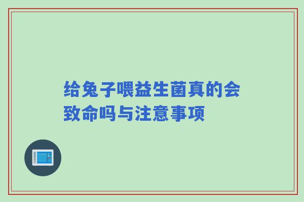 给兔子喂益生菌真的会致命吗与注意事项