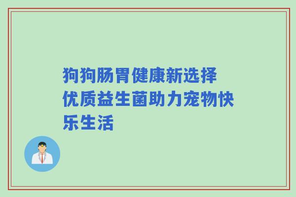 狗狗肠胃健康新选择 优质益生菌助力宠物快乐生活