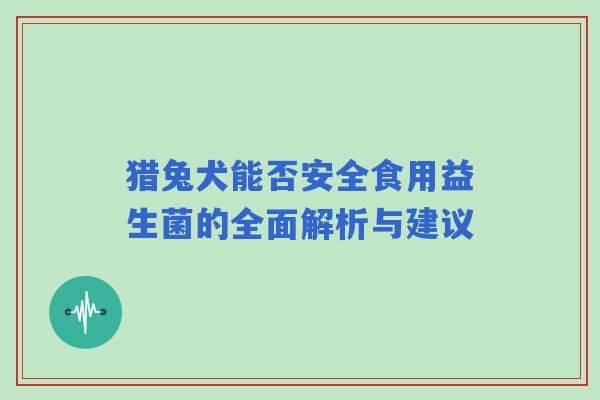 猎兔犬能否安全食用益生菌的全面解析与建议