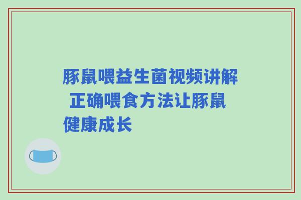 豚鼠喂益生菌视频讲解 正确喂食方法让豚鼠健康成长