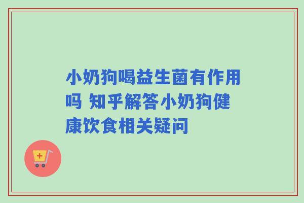 小奶狗喝益生菌有作用吗 知乎解答小奶狗健康饮食相关疑问