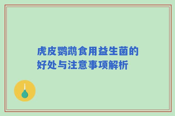 虎皮鹦鹉食用益生菌的好处与注意事项解析